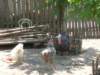 dscn2557_small.jpg