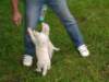 dscn2596_small.jpg