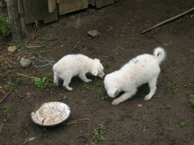dscn2611.jpg