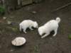 dscn2611_small.jpg