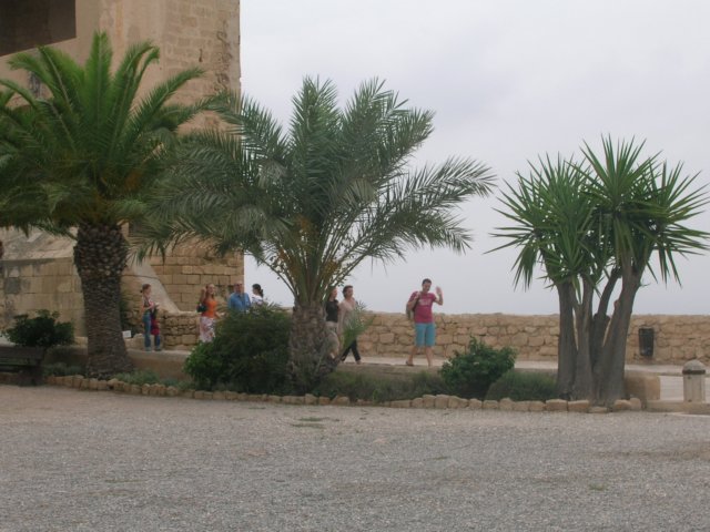 dscn1765.jpg