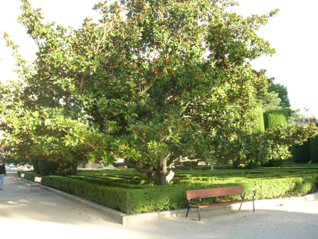 dscn1832.jpg