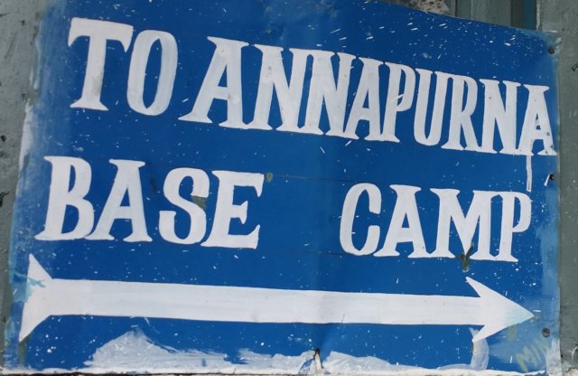 ann110.jpg