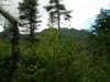 dscn2998_small.jpg