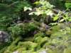dscn3000_small.jpg