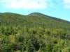 dscn3005_small.jpg