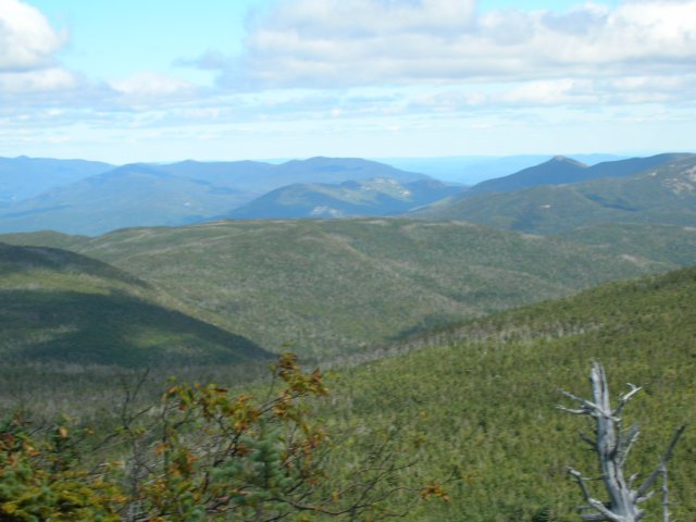 dscn3010.jpg