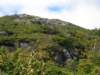 dscn3018_small.jpg