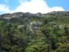 dscn3022_small.jpg
