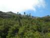 dscn3023_small.jpg
