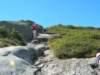dscn3028_small.jpg