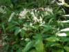 dscn3073_small.jpg