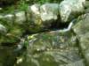 dscn3094_small.jpg