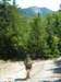 dscn3098_small.jpg
