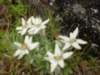 p8070177_small.jpg