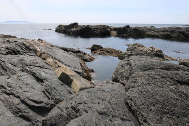 img_9554.jpg