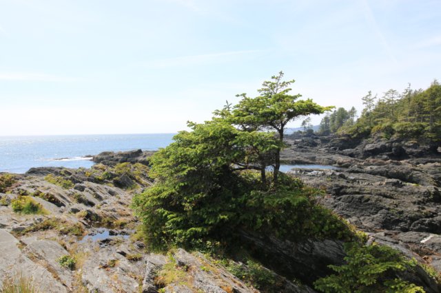 img_9613.jpg