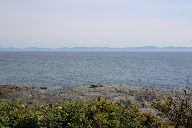 img_9620.jpg