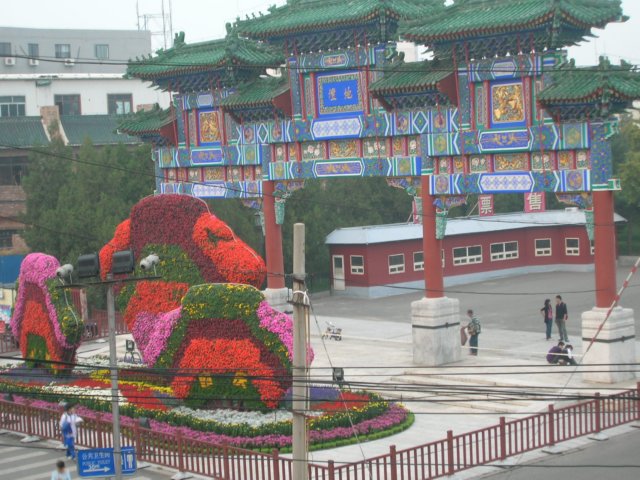 dscn0490.jpg