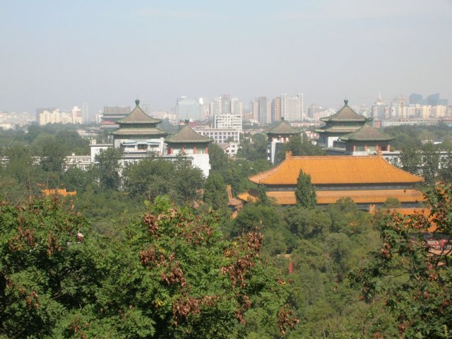 dscn0553.jpg