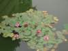 dscn0864_small.jpg