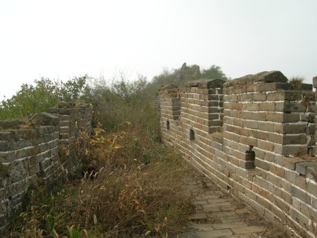 dscn0961.jpg