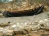 dscn1000_small.jpg