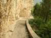 dscn1008_small.jpg