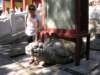dscn1121_small.jpg