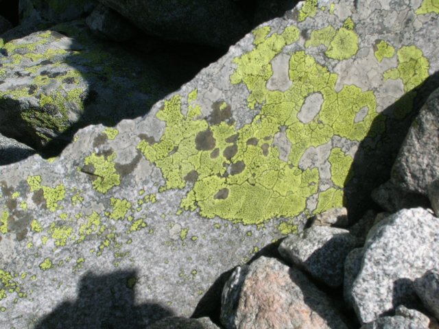 dscn3541.jpg