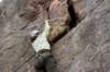 _mg_7875_small.jpg