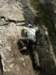 dscn4643_small.jpg