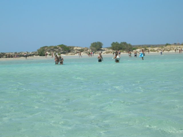 dscn5731.jpg