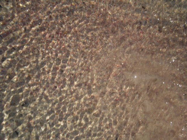 p7290043.jpg