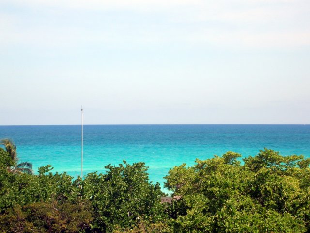 dscn1616.jpg