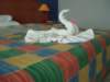 p4270305_small.jpg