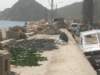 dscn8504_small.jpg