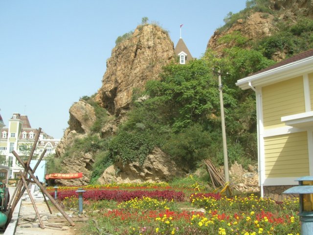 dscn8539.jpg