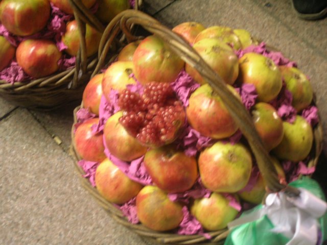 dscn9803.jpg