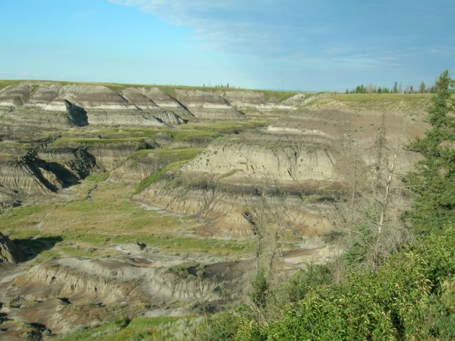 dscn2703.jpg
