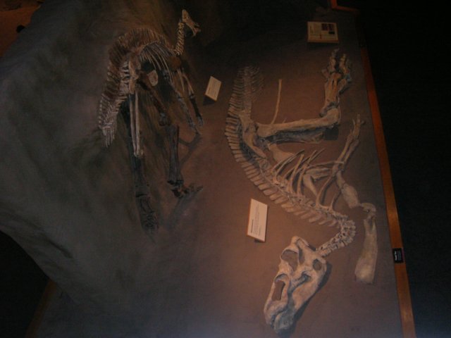 dscn2720.jpg