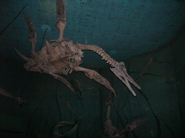 dscn2736.jpg