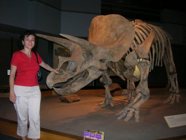 dscn2743.jpg