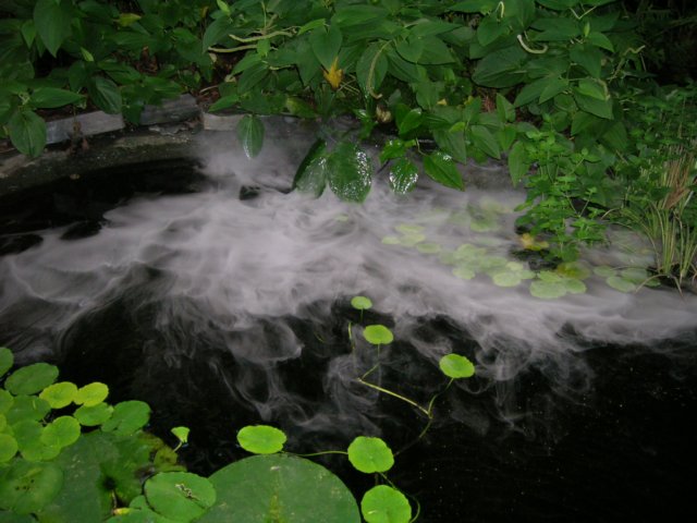 dscn2750.jpg