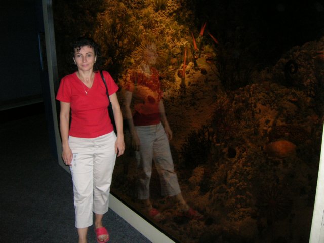 dscn2754.jpg