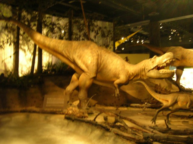 dscn2759.jpg