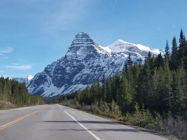 _175451.jpg