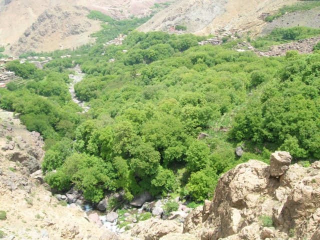 dscn4755.jpg