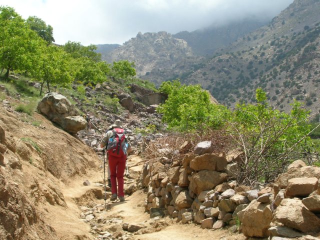 dscn4766.jpg