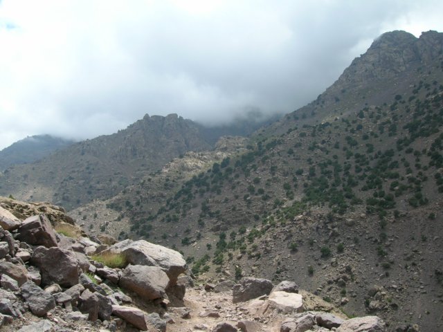 dscn4783.jpg
